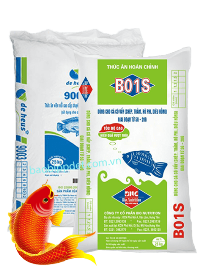 Bao Bì Thức Cho Cá
