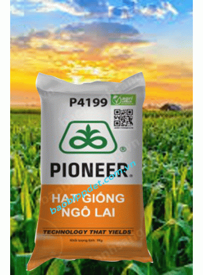 Bao Bì Đựng Ngô Giống 20kg